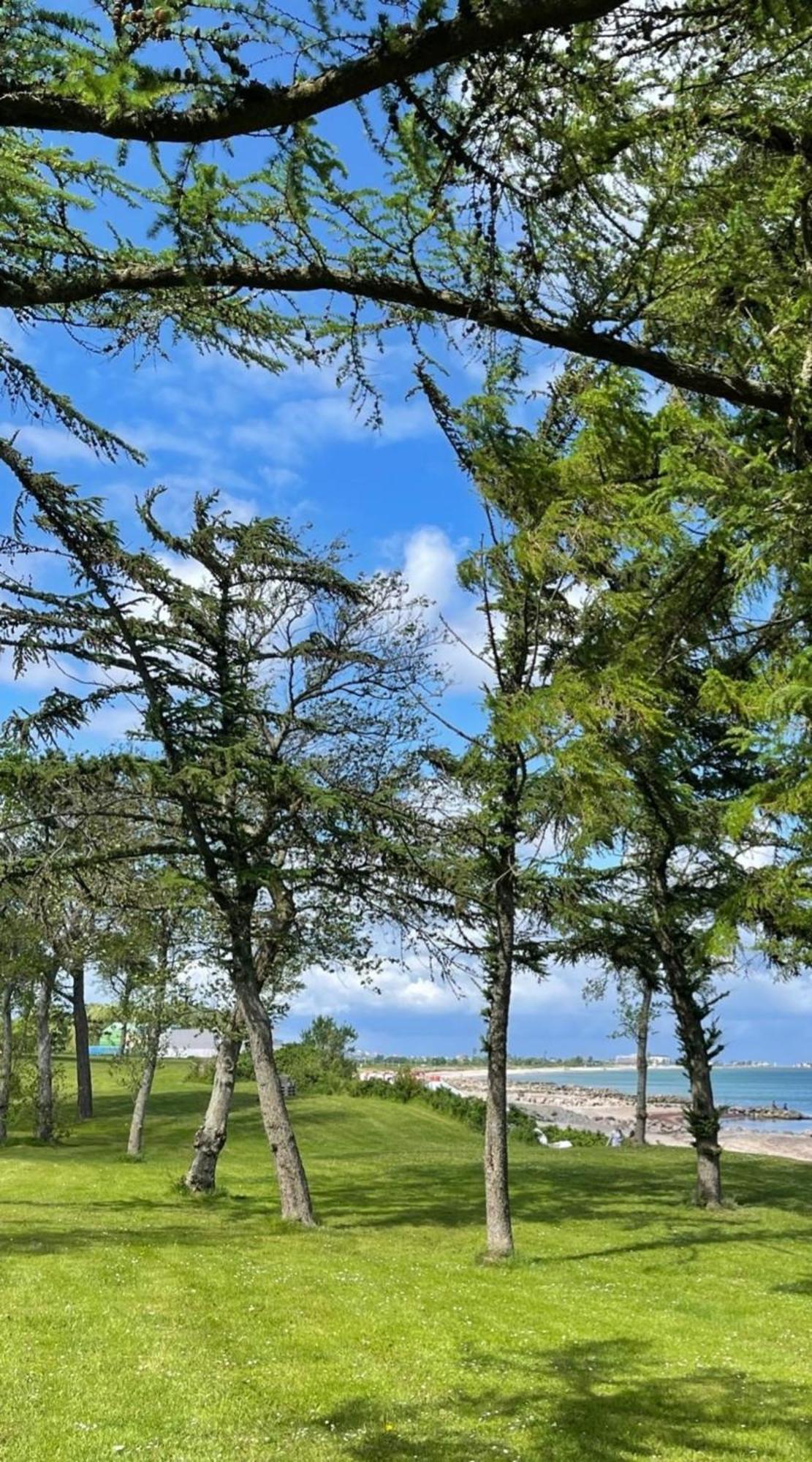Ferien Am Strand, Urlaub An Der Ostsee Ferienwohnung Am Strand In Der Naehe Der Schlei, Umgebung Von Kappeln U Damp Brodersby-Goltoft Exterior foto
